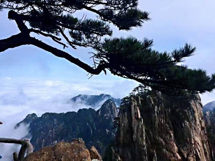 《黄山之旅》这真的只是抛砖引玉,更美的在后面